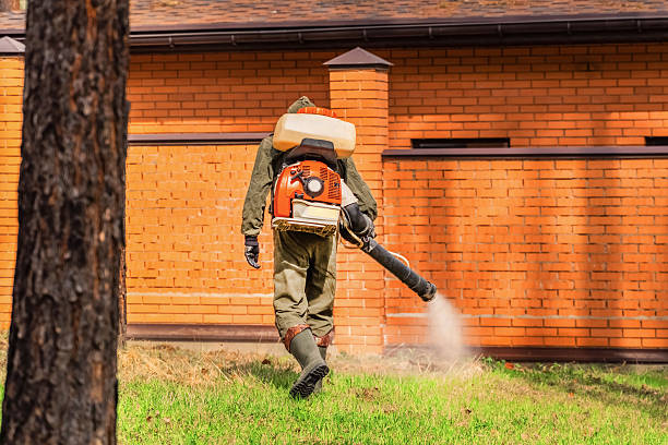 Trusted Termite Control service in Riverdale, NJ - Nex Pest Control